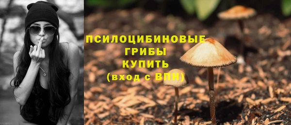 прущий лед Осинники