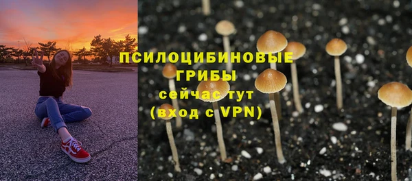 меф Переславль-Залесский